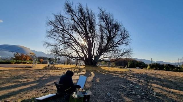 Họa sỹ Choi Seon-gil và bức tranh cây bạch quả. (Nguồn: Korea Times) cay-bach-qua-2-3.jpg
